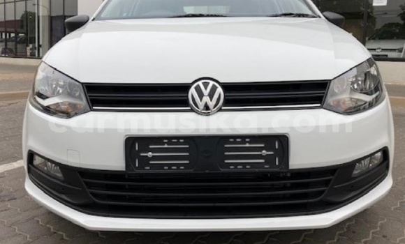 Tenga Tsaru Volkswagen Polo Chena Mota in Beitbridge in Matabeleland South