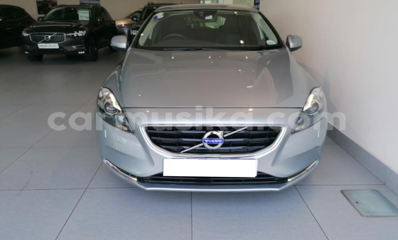 Tenga Tsaru Volvo V40 Beige Mota in Beitbridge in Matabeleland South Tenga Tsaru Volvo V40 Beige Mota in Beitbridge in Matabeleland South