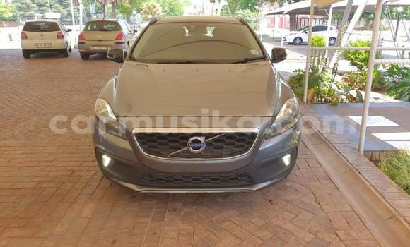 Buy Used Volvo V40 Cross Country Beige Car in Beitbridge in Matabeleland South