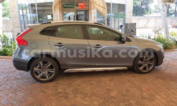 Tenga Tsaru Volvo V40 Cross Country Beige Mota in Beitbridge in Matabeleland South Tenga Tsaru Volvo V40 Cross Country Beige Mota in Beitbridge in Matabeleland South