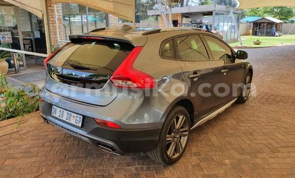 Tenga Tsaru Volvo V40 Cross Country Beige Mota in Beitbridge in Matabeleland South Tenga Tsaru Volvo V40 Cross Country Beige Mota in Beitbridge in Matabeleland South