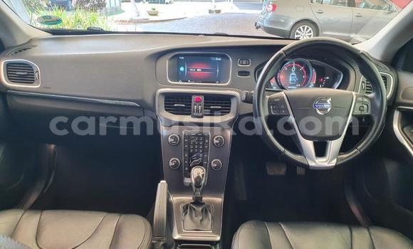 Tenga Tsaru Volvo V40 Cross Country Beige Mota in Beitbridge in Matabeleland South Tenga Tsaru Volvo V40 Cross Country Beige Mota in Beitbridge in Matabeleland South