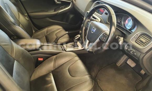Tenga Tsaru Volvo V40 Cross Country Beige Mota in Beitbridge in Matabeleland South Tenga Tsaru Volvo V40 Cross Country Beige Mota in Beitbridge in Matabeleland South