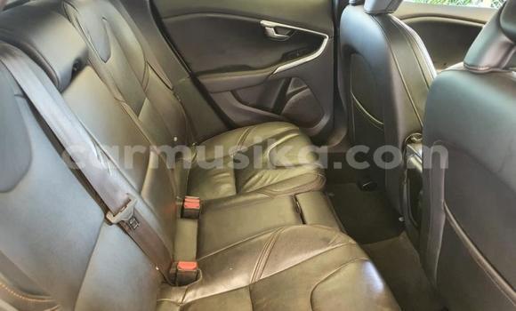 Tenga Tsaru Volvo V40 Cross Country Beige Mota in Beitbridge in Matabeleland South Tenga Tsaru Volvo V40 Cross Country Beige Mota in Beitbridge in Matabeleland South