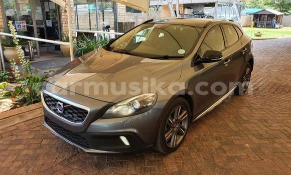 Tenga Tsaru Volvo V40 Cross Country Beige Mota in Beitbridge in Matabeleland South Tenga Tsaru Volvo V40 Cross Country Beige Mota in Beitbridge in Matabeleland South