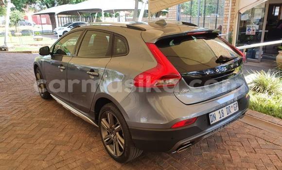 Tenga Tsaru Volvo V40 Cross Country Beige Mota in Beitbridge in Matabeleland South Tenga Tsaru Volvo V40 Cross Country Beige Mota in Beitbridge in Matabeleland South