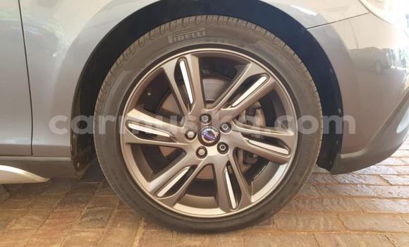 Tenga Tsaru Volvo V40 Cross Country Beige Mota in Beitbridge in Matabeleland South Tenga Tsaru Volvo V40 Cross Country Beige Mota in Beitbridge in Matabeleland South