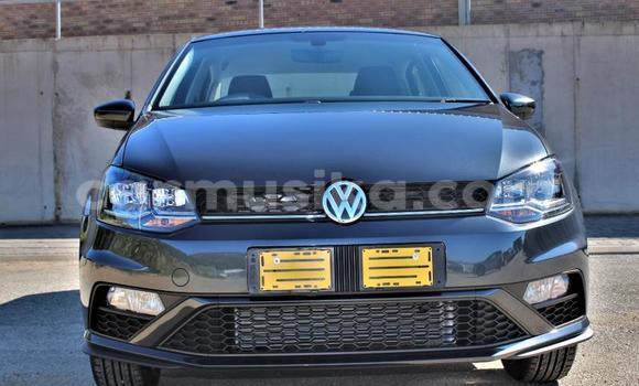 Nunua Ilio tumika Volkswagen Polo Nyingine Gari ndani ya Beitbridge nchini Matabeleland Kusini Nunua Ilio tumika Volkswagen Polo Nyingine Gari ndani ya Beitbridge nchini Matabeleland Kusini