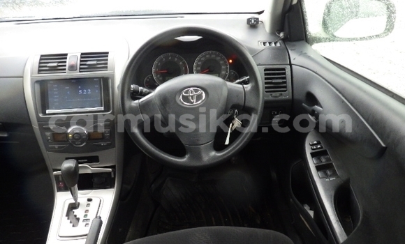 Tenga Tsaru Toyota Corolla Chena Mota in Beitbridge in Matabeleland South Tenga Tsaru Toyota Corolla Chena Mota in Beitbridge in Matabeleland South