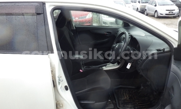 Tenga Tsaru Toyota Corolla Chena Mota in Beitbridge in Matabeleland South Tenga Tsaru Toyota Corolla Chena Mota in Beitbridge in Matabeleland South