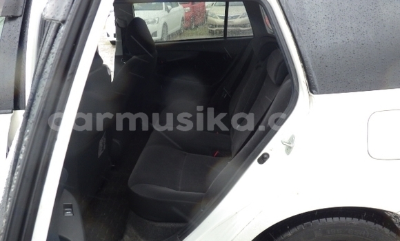 Tenga Tsaru Toyota Corolla Chena Mota in Beitbridge in Matabeleland South Tenga Tsaru Toyota Corolla Chena Mota in Beitbridge in Matabeleland South