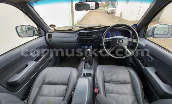 Tenga Tsaru Toyota Hilux Nhema Mota in Beitbridge in Matabeleland South Tenga Tsaru Toyota Hilux Nhema Mota in Beitbridge in Matabeleland South