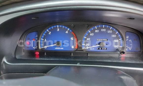 Tenga Tsaru Toyota Hilux Nhema Mota in Beitbridge in Matabeleland South Tenga Tsaru Toyota Hilux Nhema Mota in Beitbridge in Matabeleland South