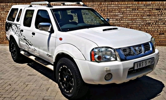 Tenga Tsaru Nissan NP 300 Chena Mota in Beitbridge in Matabeleland South