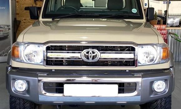 Tenga Tsaru Toyota Land Cruiser Nhema Mota in Harare in Harare Tenga Tsaru Toyota Land Cruiser Nhema Mota in Harare in Harare