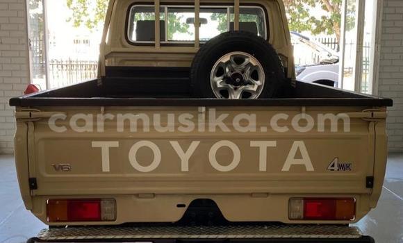 Tenga Tsaru Toyota Land Cruiser Nhema Mota in Harare in Harare Tenga Tsaru Toyota Land Cruiser Nhema Mota in Harare in Harare
