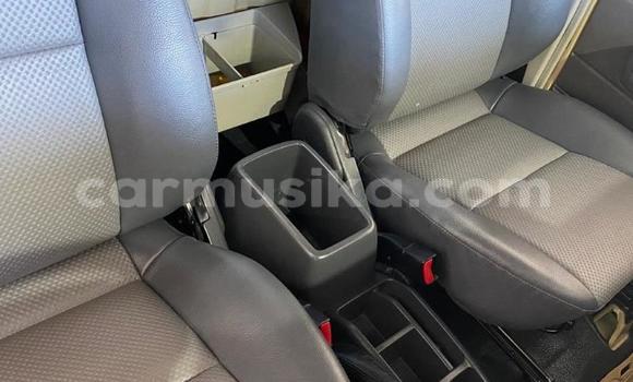 Tenga Tsaru Toyota Land Cruiser Nhema Mota in Harare in Harare Tenga Tsaru Toyota Land Cruiser Nhema Mota in Harare in Harare