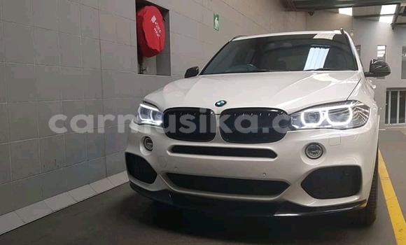 Tenga Tsaru BMW X5 Chena Mota in Beitbridge in Matabeleland South Tenga Tsaru BMW X5 Chena Mota in Beitbridge in Matabeleland South