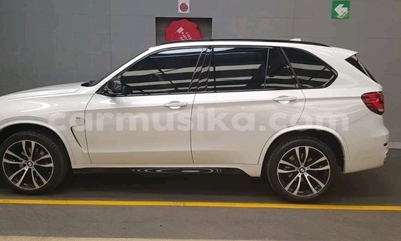 Tenga Tsaru BMW X5 Chena Mota in Beitbridge in Matabeleland South Tenga Tsaru BMW X5 Chena Mota in Beitbridge in Matabeleland South