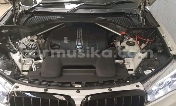 Tenga Tsaru BMW X5 Chena Mota in Beitbridge in Matabeleland South Tenga Tsaru BMW X5 Chena Mota in Beitbridge in Matabeleland South