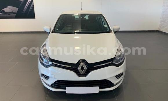 Tenga Tsaru Renault Clio Chena Mota in Beitbridge in Matabeleland South