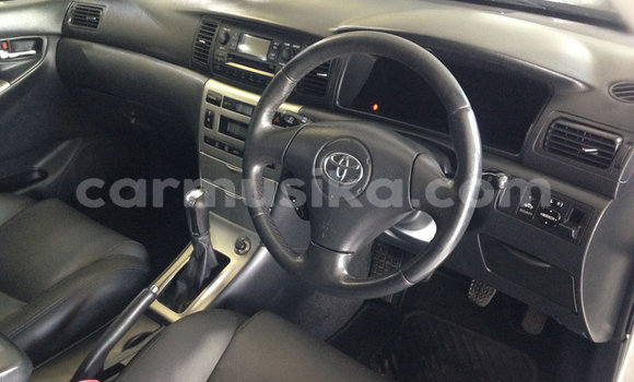 Buy Used Toyota Runx Silver Car in Chegutu in Mashonaland West Buy Used Toyota Runx Silver Car in Chegutu in Mashonaland West