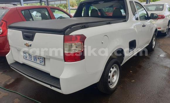 Acheter Occasion Voiture Chevrolet Corsa Blanc à Beitbridge, Matabeleland South Acheter Occasion Voiture Chevrolet Corsa Blanc à Beitbridge, Matabeleland South