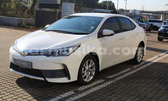 Nunua Ilio tumika Toyota Corolla Nyeupe Gari ndani ya Beitbridge nchini Matabeleland Kusini