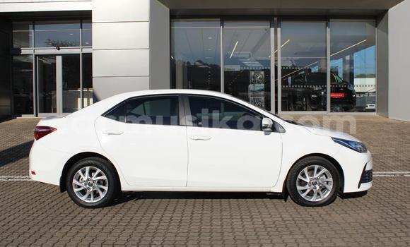 Nunua Ilio tumika Toyota Corolla Nyeupe Gari ndani ya Beitbridge nchini Matabeleland Kusini Nunua Ilio tumika Toyota Corolla Nyeupe Gari ndani ya Beitbridge nchini Matabeleland Kusini