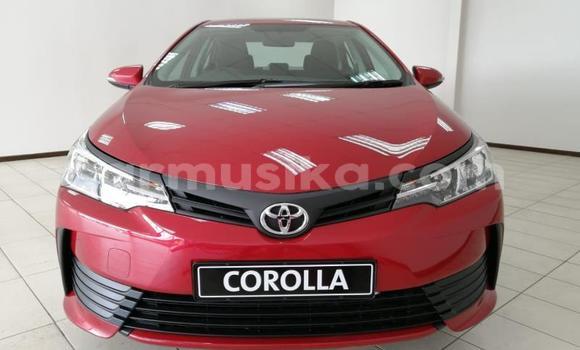 Nunua Ilio tumika Toyota Corolla Nyekundu Gari ndani ya Beitbridge nchini Matabeleland Kusini Nunua Ilio tumika Toyota Corolla Nyekundu Gari ndani ya Beitbridge nchini Matabeleland Kusini