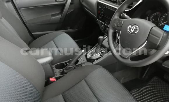 Nunua Ilio tumika Toyota Corolla Nyekundu Gari ndani ya Beitbridge nchini Matabeleland Kusini Nunua Ilio tumika Toyota Corolla Nyekundu Gari ndani ya Beitbridge nchini Matabeleland Kusini