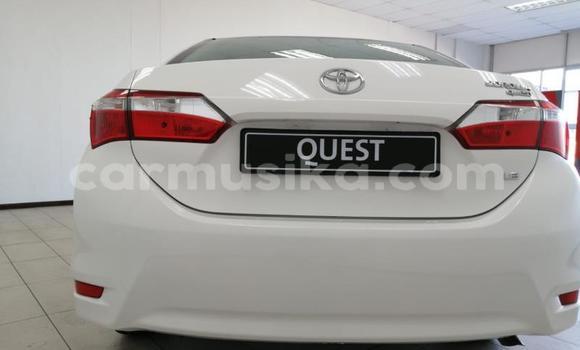 Acheter Occasion Voiture Toyota Corolla Blanc à Beitbridge, Matabeleland South