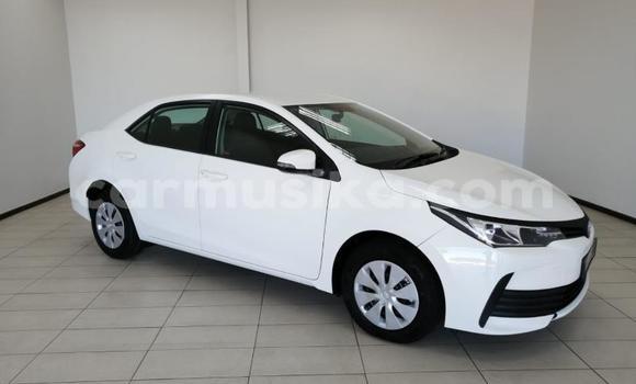 Buy Used Toyota Corolla White Car in Beitbridge in Matabeleland South Buy Used Toyota Corolla White Car in Beitbridge in Matabeleland South