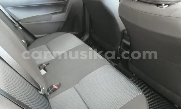 Buy Used Toyota Corolla White Car in Beitbridge in Matabeleland South Buy Used Toyota Corolla White Car in Beitbridge in Matabeleland South