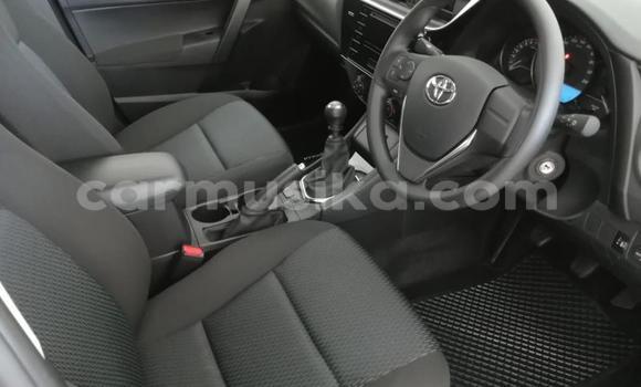 Buy Used Toyota Corolla White Car in Beitbridge in Matabeleland South Buy Used Toyota Corolla White Car in Beitbridge in Matabeleland South