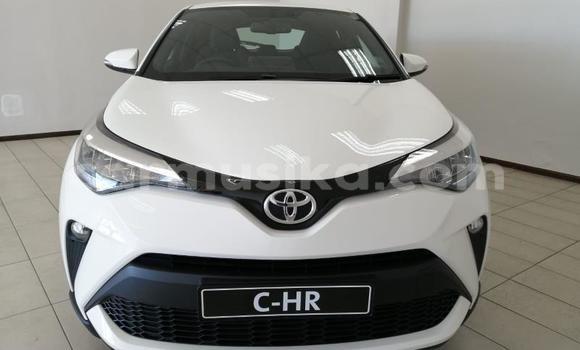 Buy Used Toyota C-HR White Car in Beitbridge in Matabeleland South