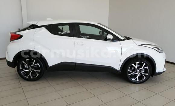 Acheter Occasion Voiture Toyota C-HR Blanc à Beitbridge, Matabeleland South Acheter Occasion Voiture Toyota C-HR Blanc à Beitbridge, Matabeleland South