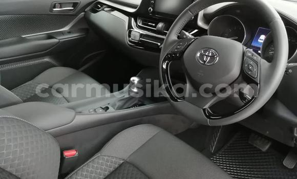 Acheter Occasion Voiture Toyota C-HR Blanc à Beitbridge, Matabeleland South Acheter Occasion Voiture Toyota C-HR Blanc à Beitbridge, Matabeleland South