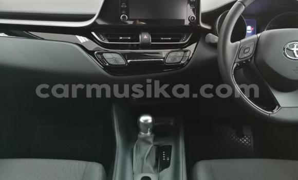 Acheter Occasion Voiture Toyota C-HR Blanc à Beitbridge, Matabeleland South Acheter Occasion Voiture Toyota C-HR Blanc à Beitbridge, Matabeleland South