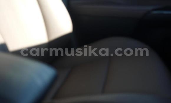 Tenga Tsaru Toyota Fortuner Chena Mota in Beitbridge in Matabeleland South Tenga Tsaru Toyota Fortuner Chena Mota in Beitbridge in Matabeleland South