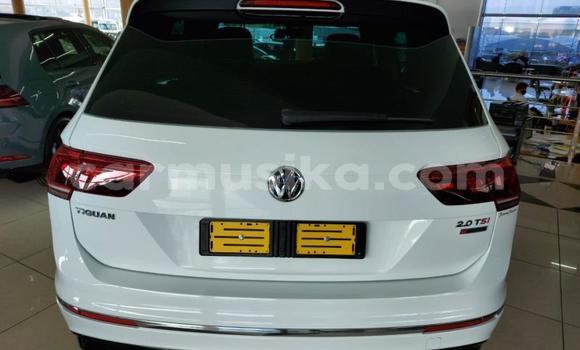 Tenga Tsaru Volkswagen Tiguan Chena Mota in Harare in Harare Tenga Tsaru Volkswagen Tiguan Chena Mota in Harare in Harare