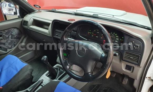 Tenga Tsaru Isuzu KB Chena Mota in Beitbridge in Matabeleland South Tenga Tsaru Isuzu KB Chena Mota in Beitbridge in Matabeleland South