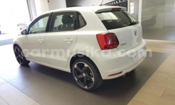 Tenga Tsaru Volkswagen Polo Chena Mota in Beitbridge in Matabeleland South Tenga Tsaru Volkswagen Polo Chena Mota in Beitbridge in Matabeleland South