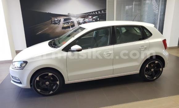 Tenga Tsaru Volkswagen Polo Chena Mota in Beitbridge in Matabeleland South Tenga Tsaru Volkswagen Polo Chena Mota in Beitbridge in Matabeleland South