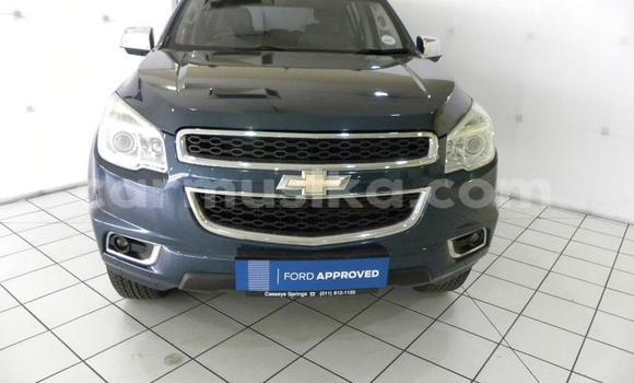 Buy Used Chevrolet TrailBlazer Blue Car in Beitbridge in Matabeleland South