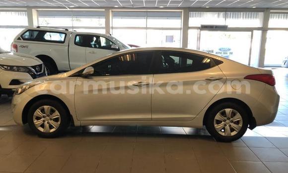 Tenga Tsaru Hyundai Elantra Sirivha Mota in Beitbridge in Matabeleland South Tenga Tsaru Hyundai Elantra Sirivha Mota in Beitbridge in Matabeleland South