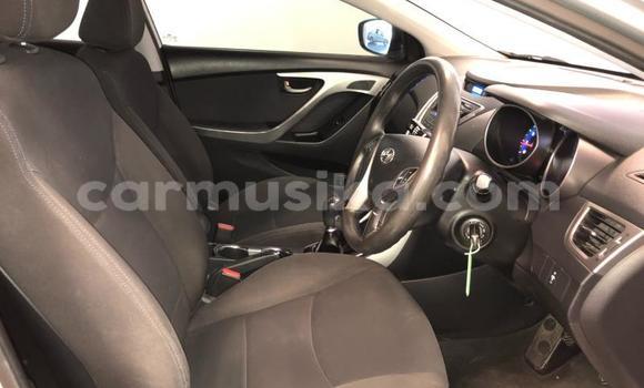 Tenga Tsaru Hyundai Elantra Sirivha Mota in Beitbridge in Matabeleland South Tenga Tsaru Hyundai Elantra Sirivha Mota in Beitbridge in Matabeleland South