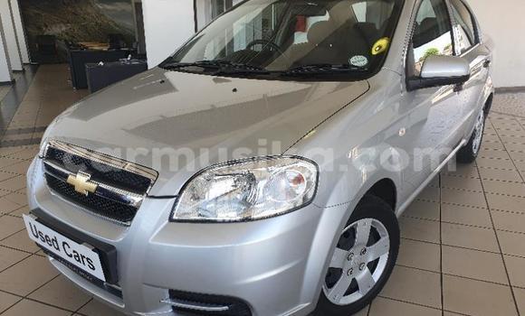 Acheter Occasion Voiture Chevrolet Aveo Blanc à Beitbridge, Matabeleland South Acheter Occasion Voiture Chevrolet Aveo Blanc à Beitbridge, Matabeleland South
