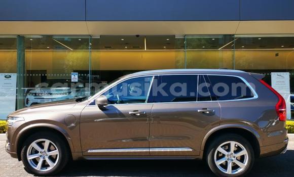 Acheter Occasion Voiture Volvo XC90 Autre à Beitbridge, Matabeleland South Acheter Occasion Voiture Volvo XC90 Autre à Beitbridge, Matabeleland South