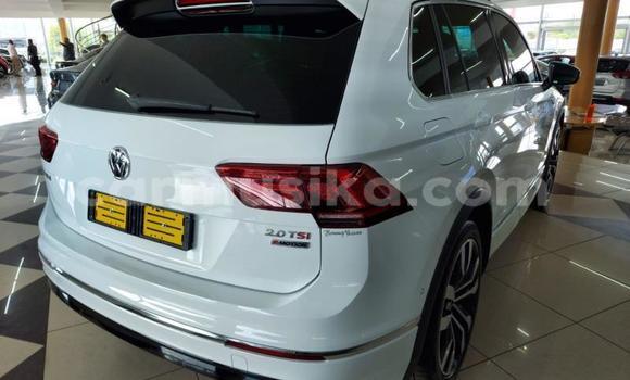 Tenga Tsaru Volkswagen Tiguan Chena Mota in Harare in Harare Tenga Tsaru Volkswagen Tiguan Chena Mota in Harare in Harare